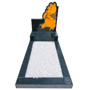 CS005