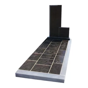 PS001